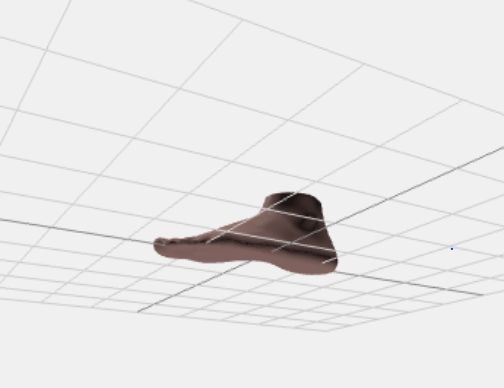 Modélisation 3D d’un pied pour la fabrication des semelles